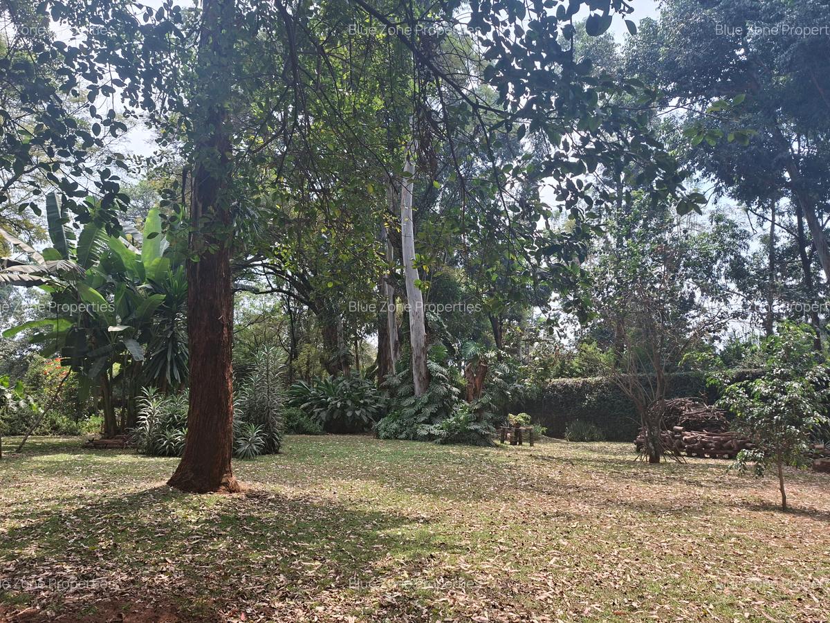 Land at Off Ridgeways/Kiambu Rd - 7