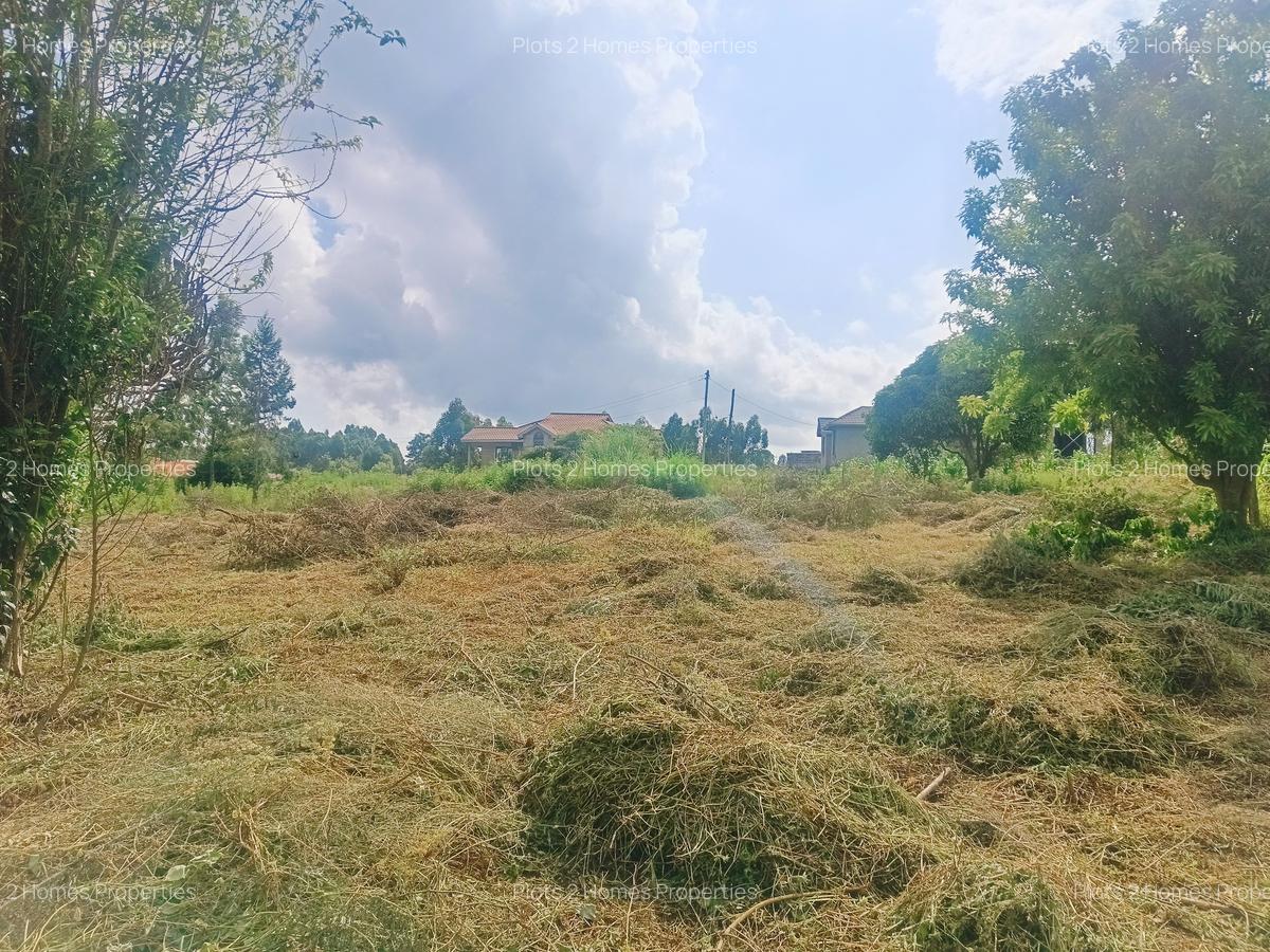 1,000 m² Residential Land at Riu-Nderi - 11