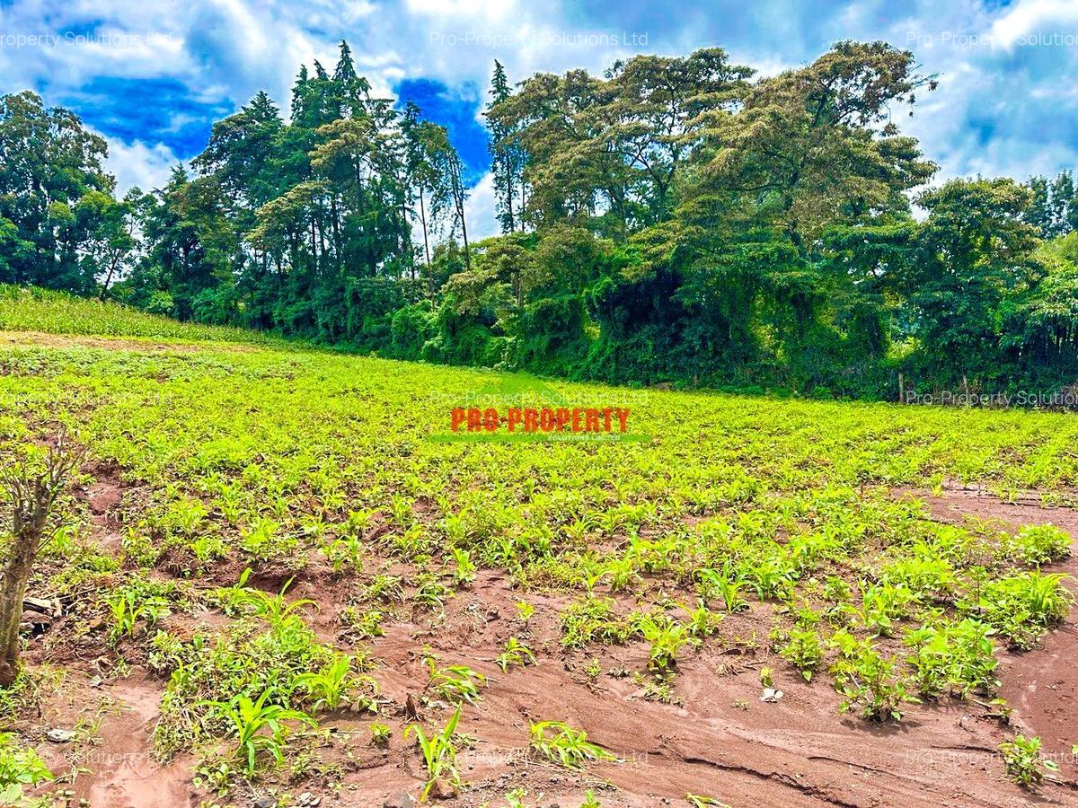 0.05 ha Residential Land at Gikambura - 6