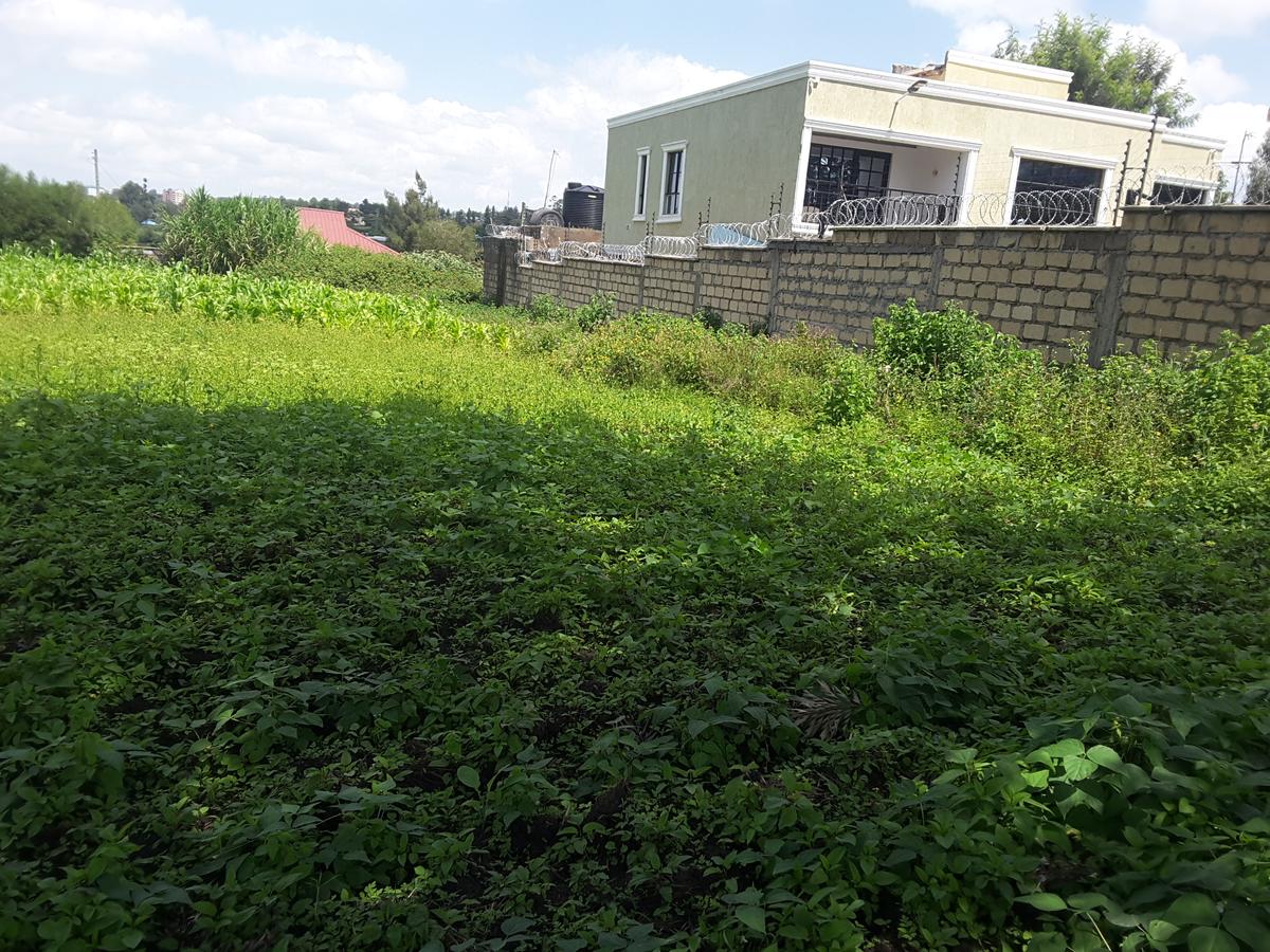 0.125 ac Residential Land in Ongata Rongai - 3