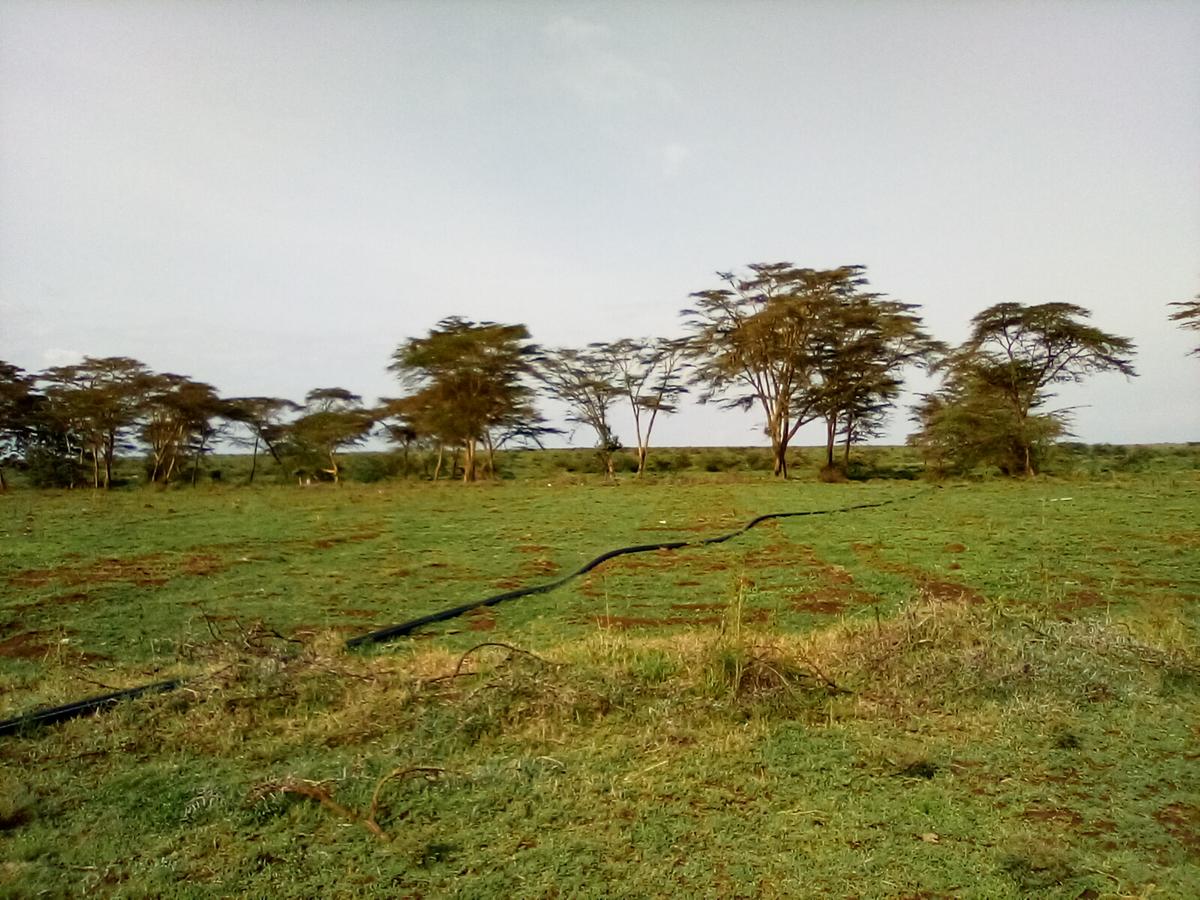 Land at Nanyuki - Rumuruti Rd - 8