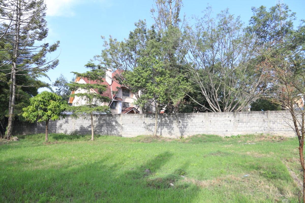 Residential Land in Lavington - 4