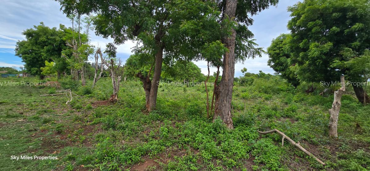 4.5 ac Land at Mtwapa - 12