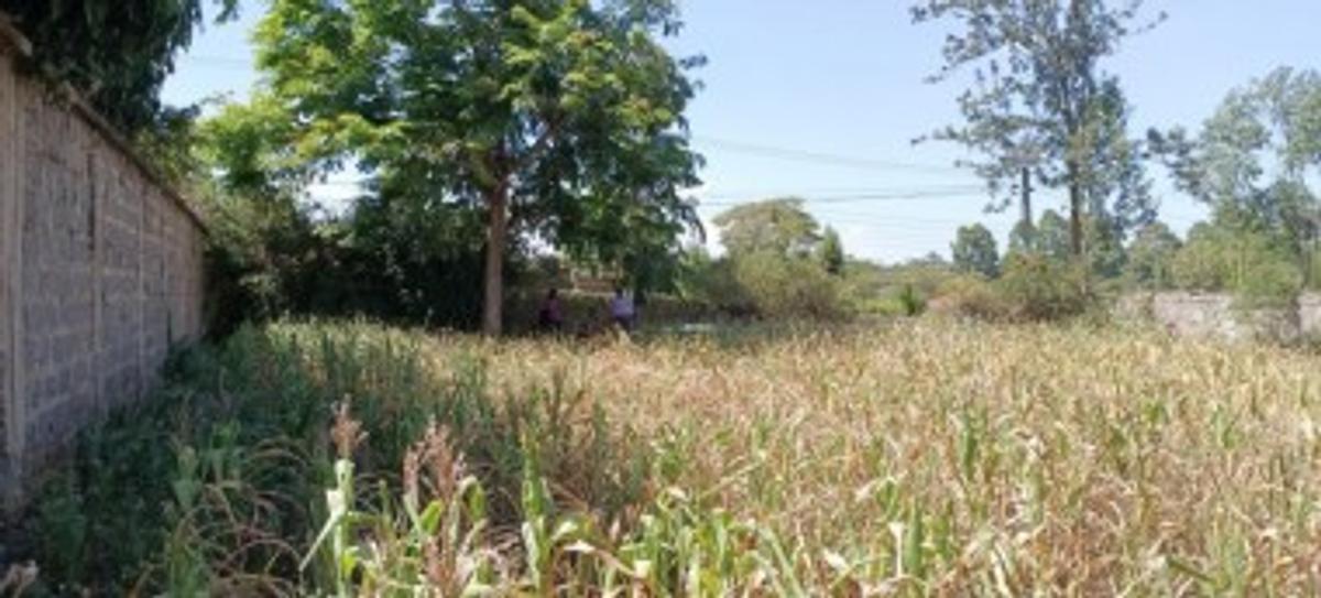 0.5 ac Residential Land at Kahawa Sukari - 7