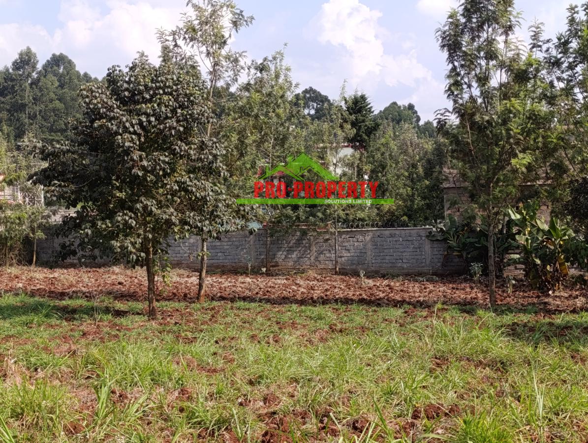 0.1 ha Residential Land at Thogoto - 6