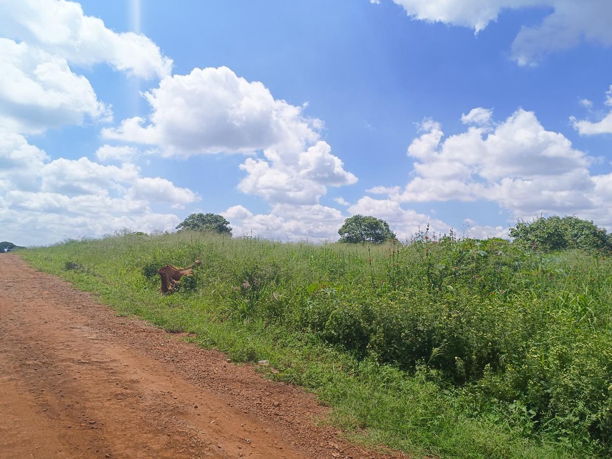 25 ac Land at Off Paradise Lost Road - 2