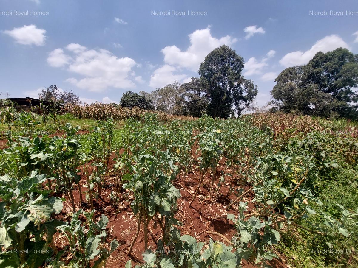 Residential Land at Kinanda Road - 12