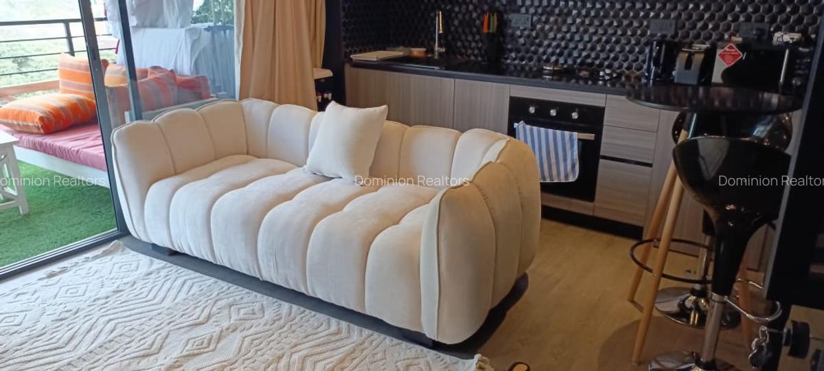 Furnished Studio Apartment with En Suite at Off Raphta Road - 3