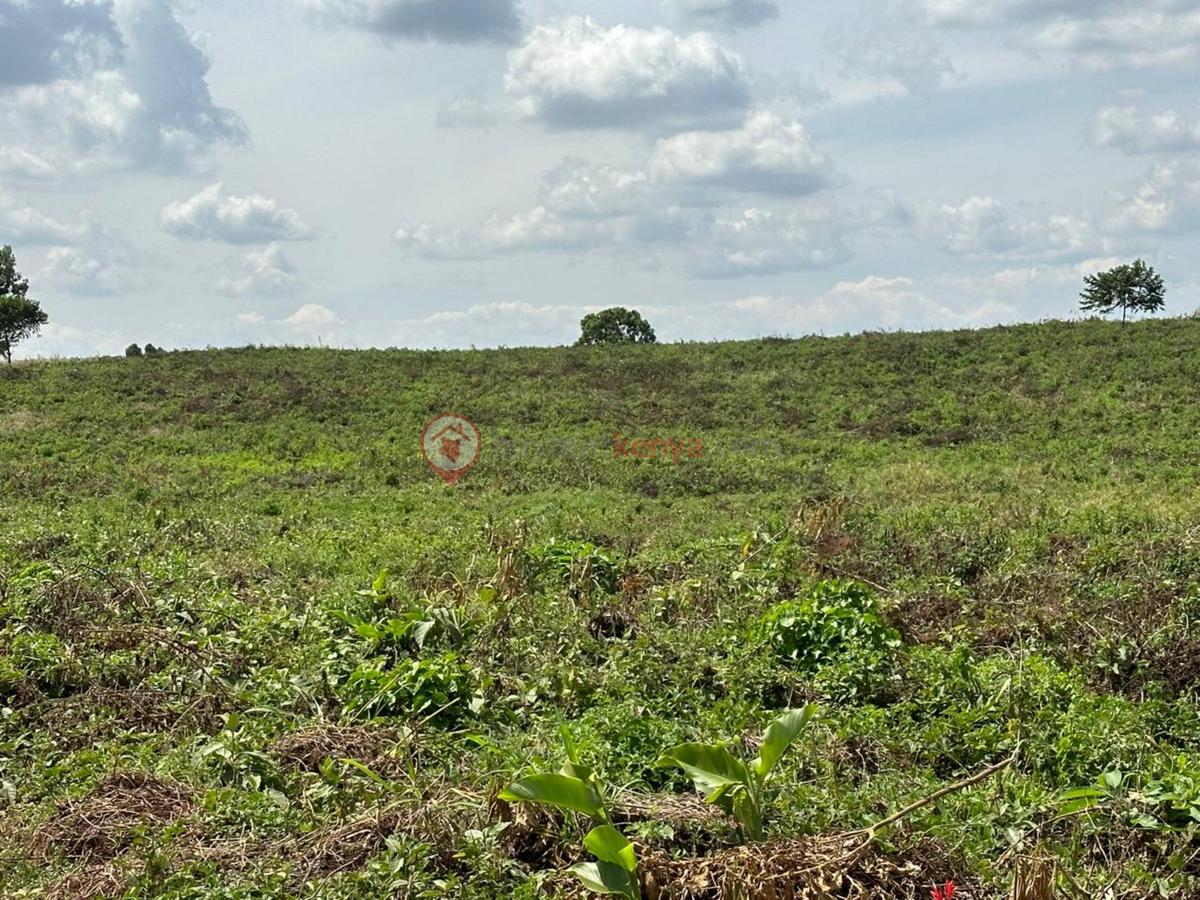 10 ac Land at Glory Road - 12