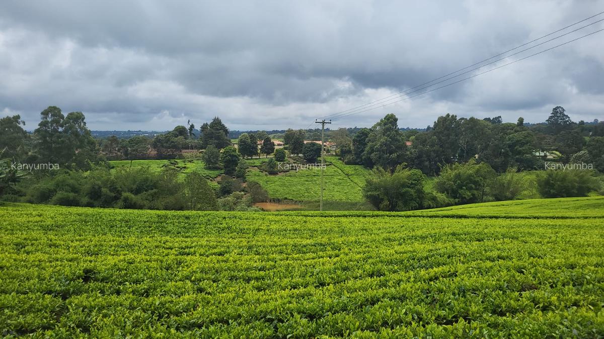 10 ac Land at Tigoni - 1