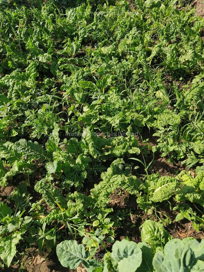 0.125 ac Land at Sabaki - 6