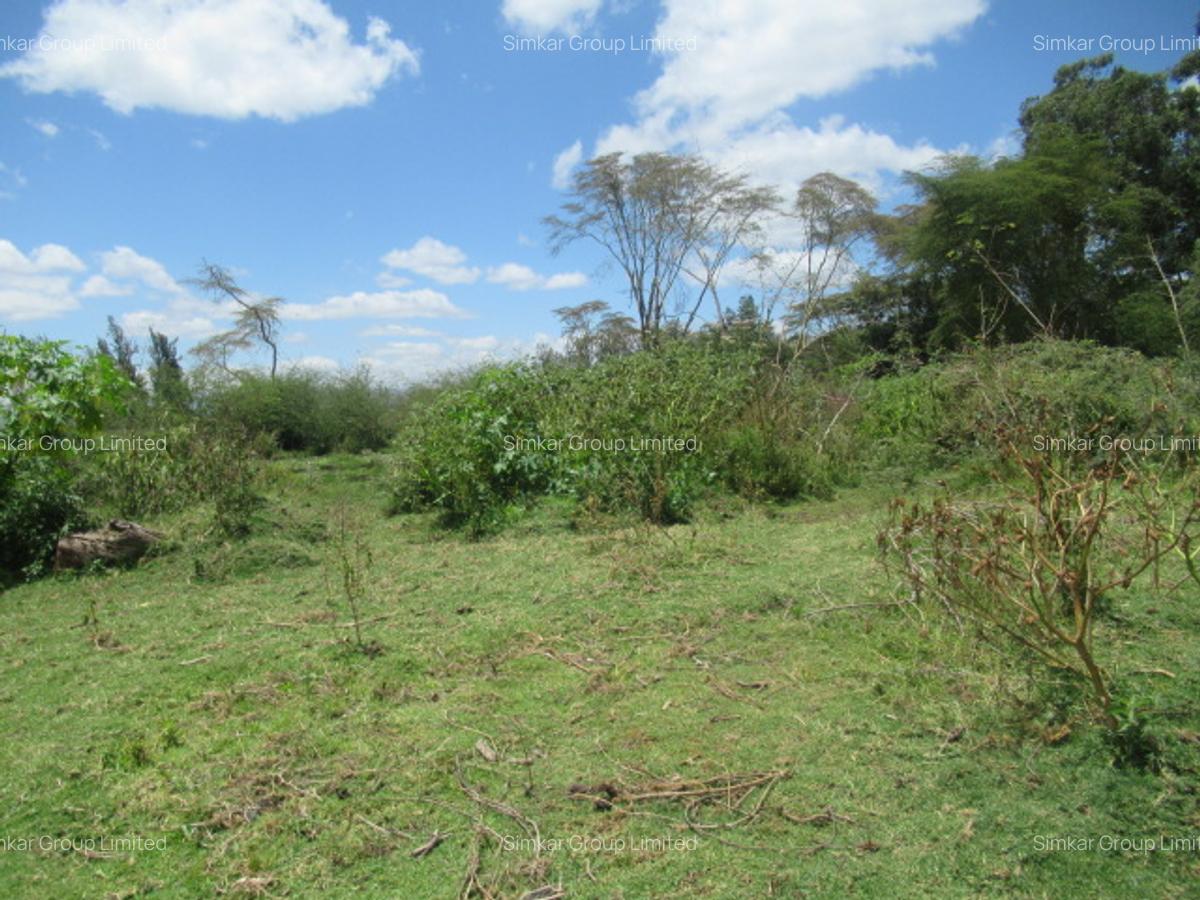 25 ac Land at Moi S Lake Rd - 13