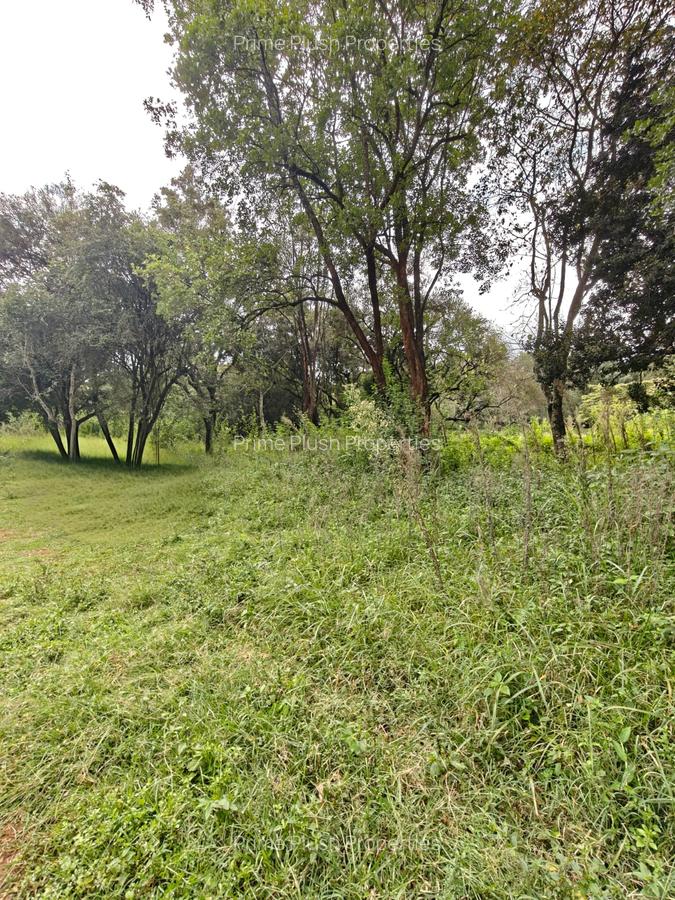 9 ac Land in Karen - 7