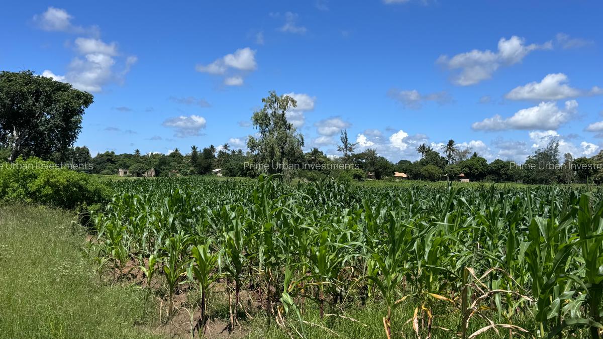 505 m² Land at Mavueni - 5