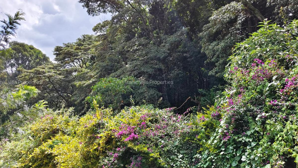 4 Bed House with En Suite at Thigiri - 3
