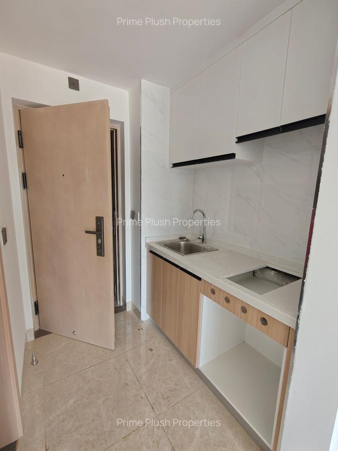 Studio Apartment with En Suite in Ruiru - 5