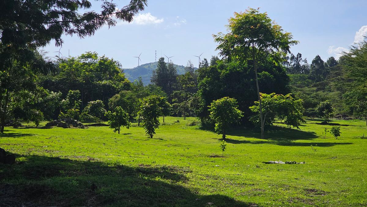 506 m² Land at Near Citam - 5