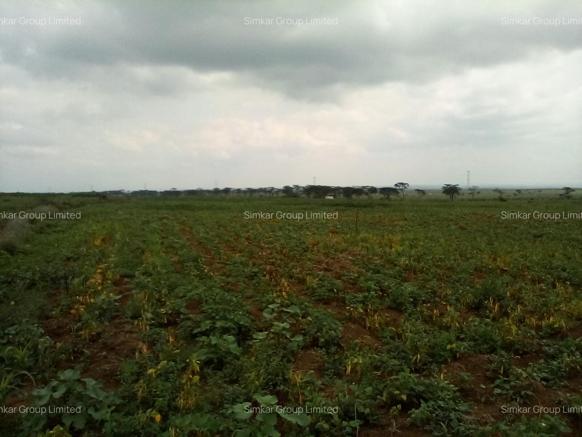 Land at Nanyuki-Rumuruti Rd - 1