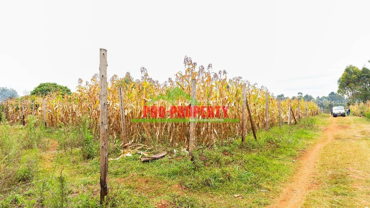 0.05 ha Residential Land in Kikuyu Town - 3