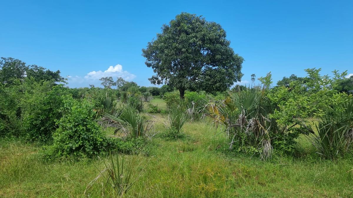 0.045 ha Land at Diani - 2