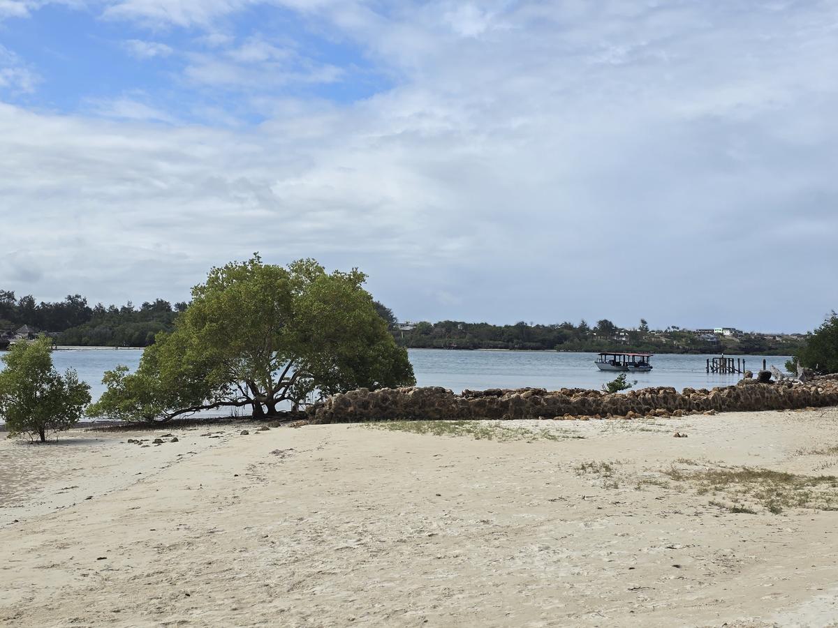 Commercial Land at Mt Kenya - 1