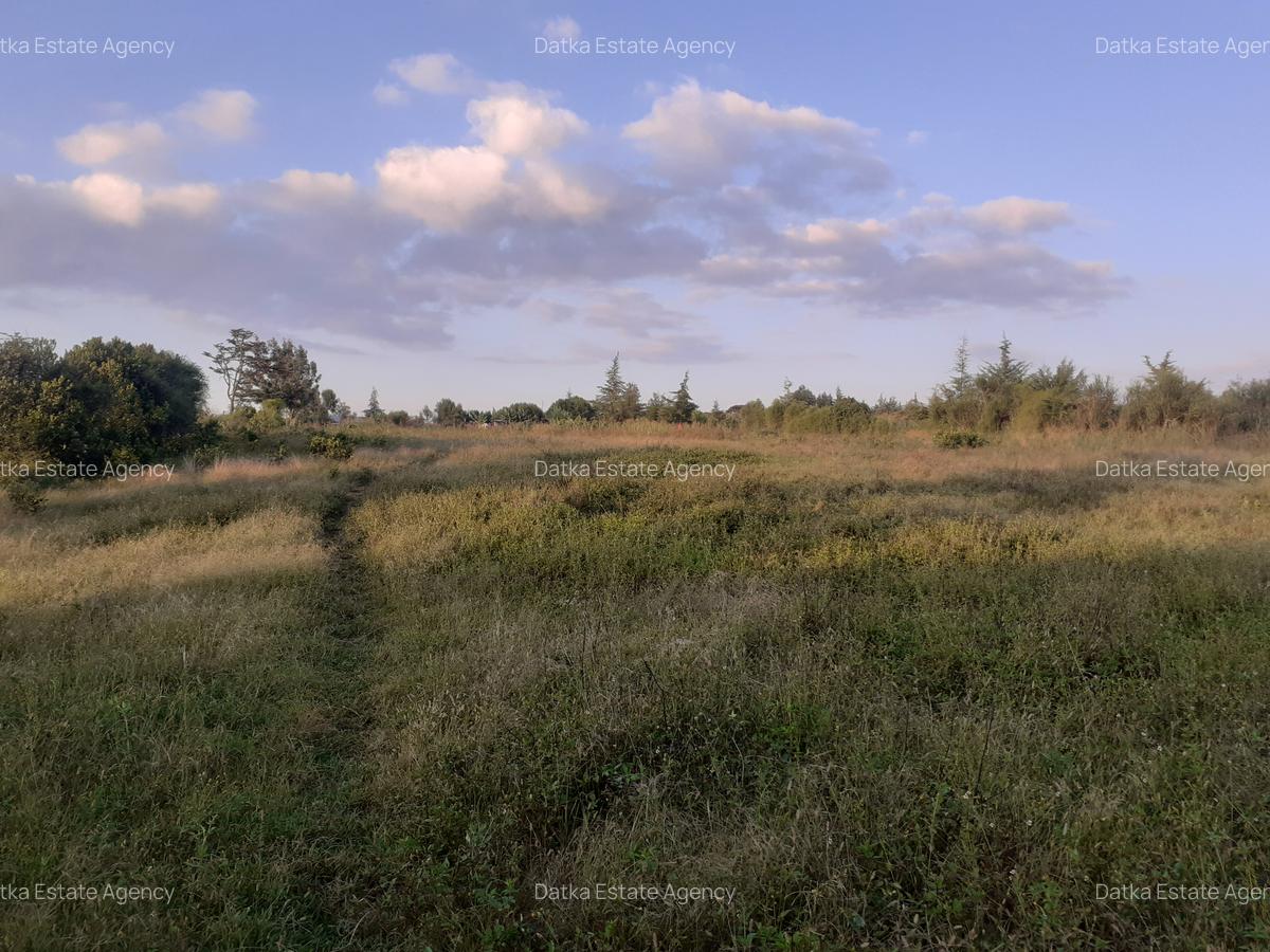0.5 ac Residential Land in Nanyuki - 6