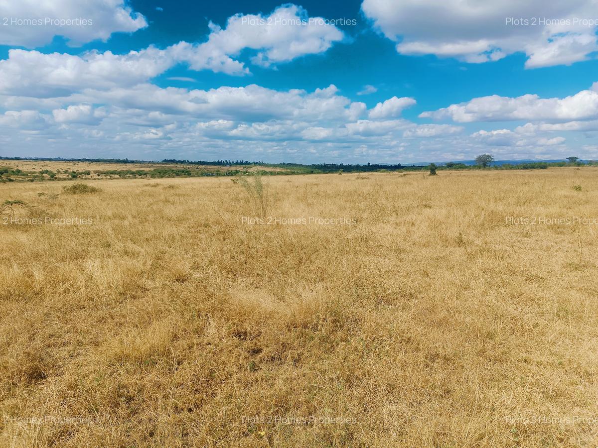 40 ac Land at Yukos - 3