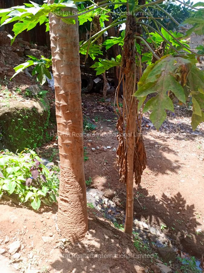 0.25 ac Residential Land at Kamiti Road - 7