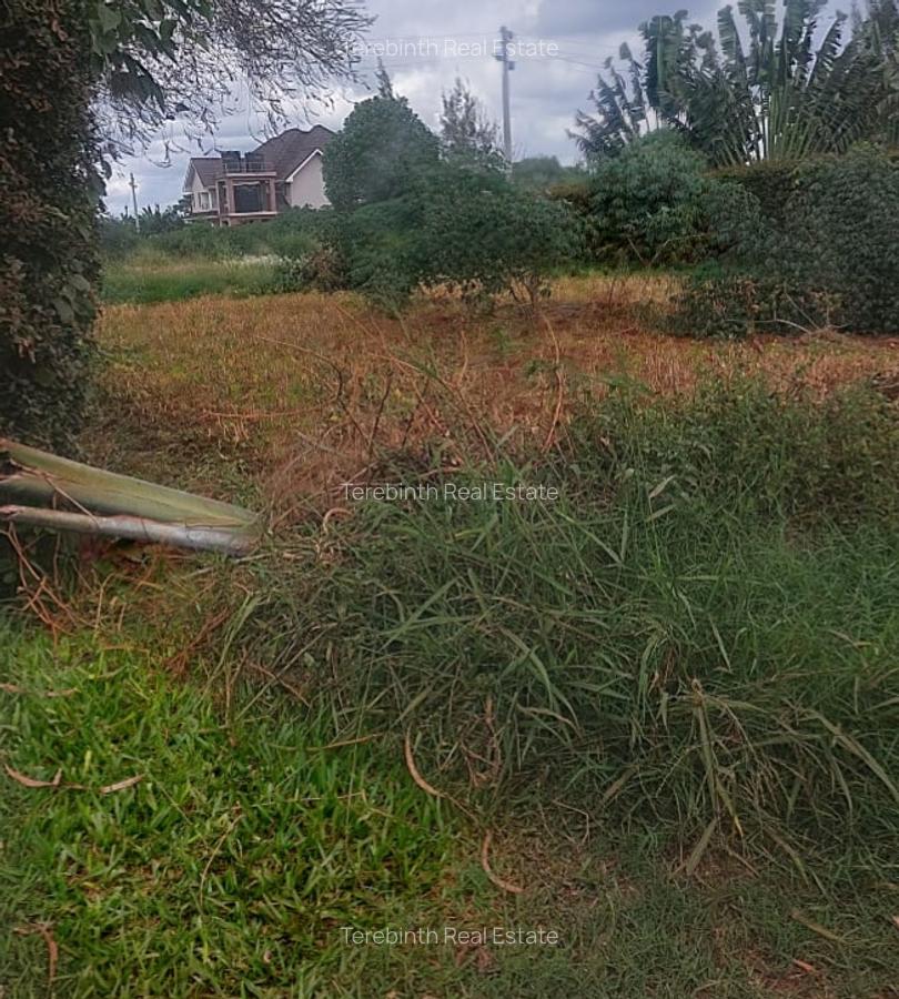 1 ac Land at Windsor - 1