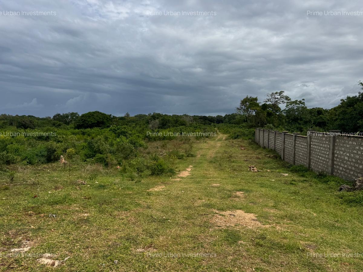 10 ac Land in Vipingo - 12