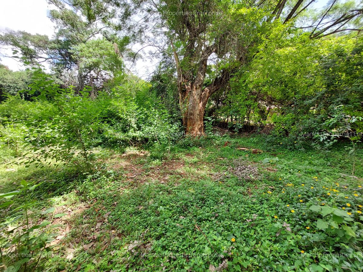Residential Land at Runda Grove - 1