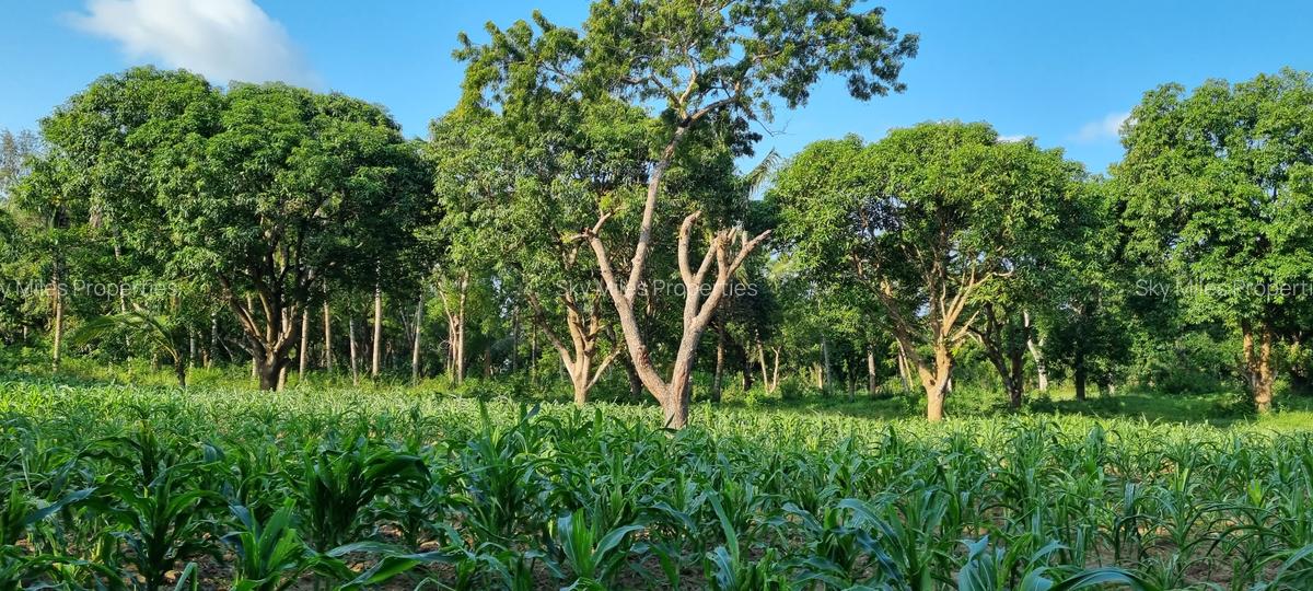 1 ac Land at Mtwapa - 2