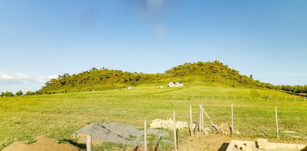 0.125 ac Residential Land in Naivasha - 8