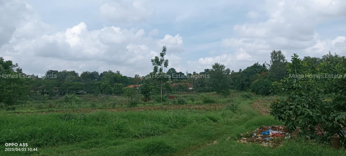 2 ac Land in Runda - 2