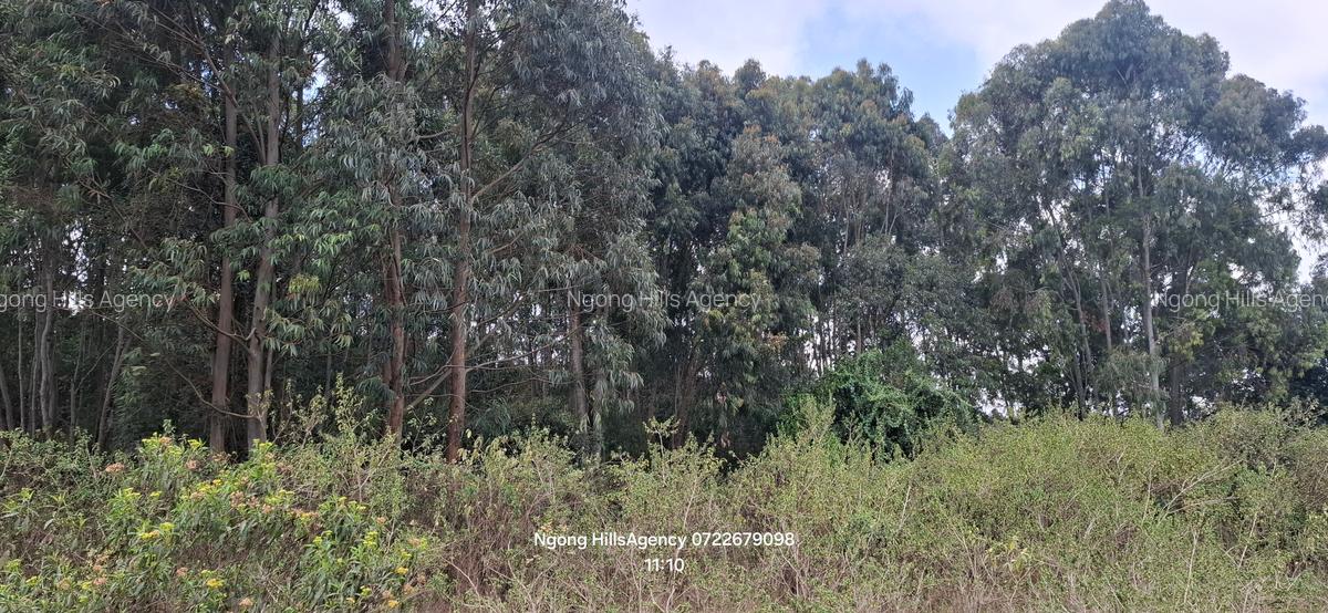 Residential Land at Kerarapon Drive - 6