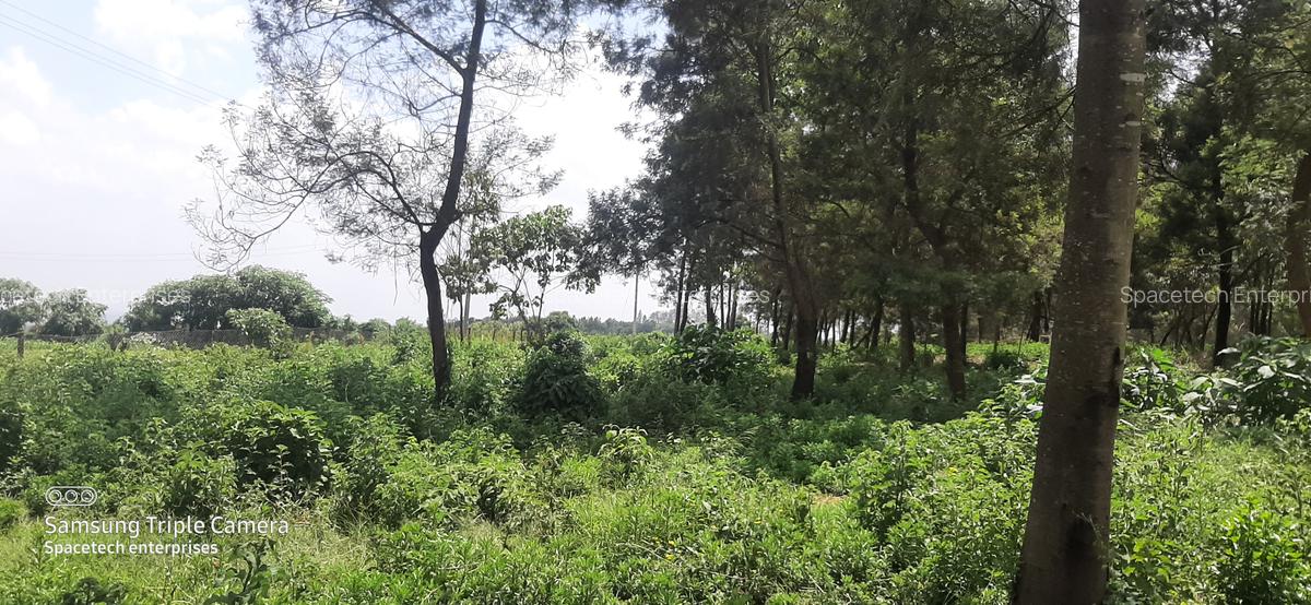 Land in Redhill - 10