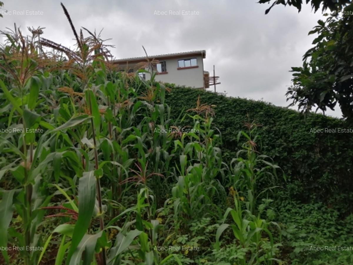 0.3 ac Residential Land at Kikuyu Road - 8