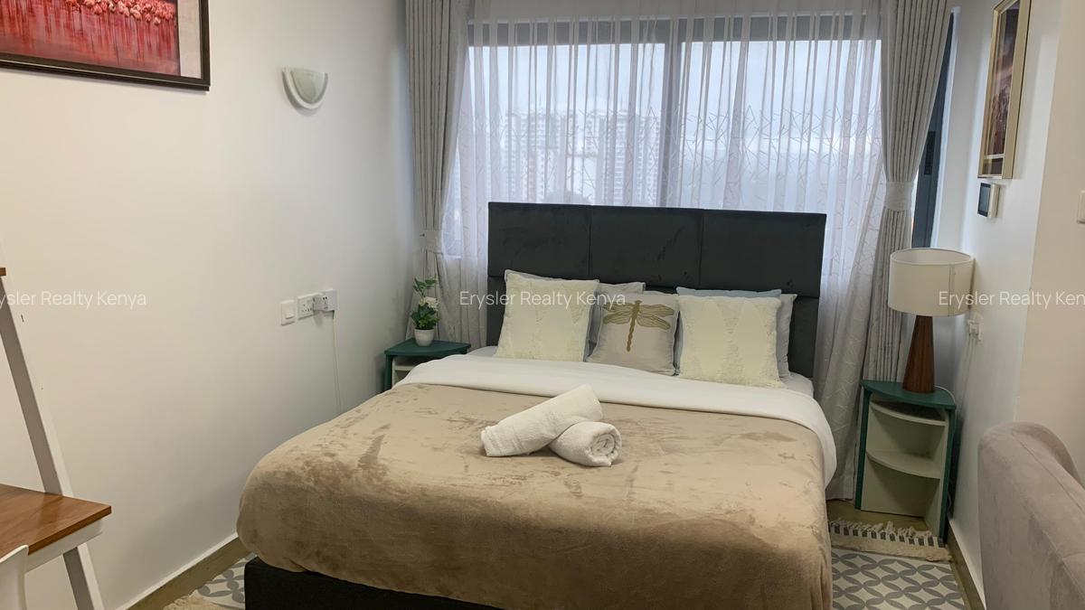 Serviced Studio Apartment with Gym at Kileleshwa - 13