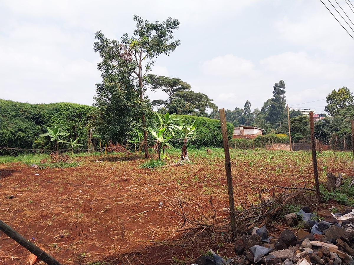 0.25 ac Land in Kinoo - 2