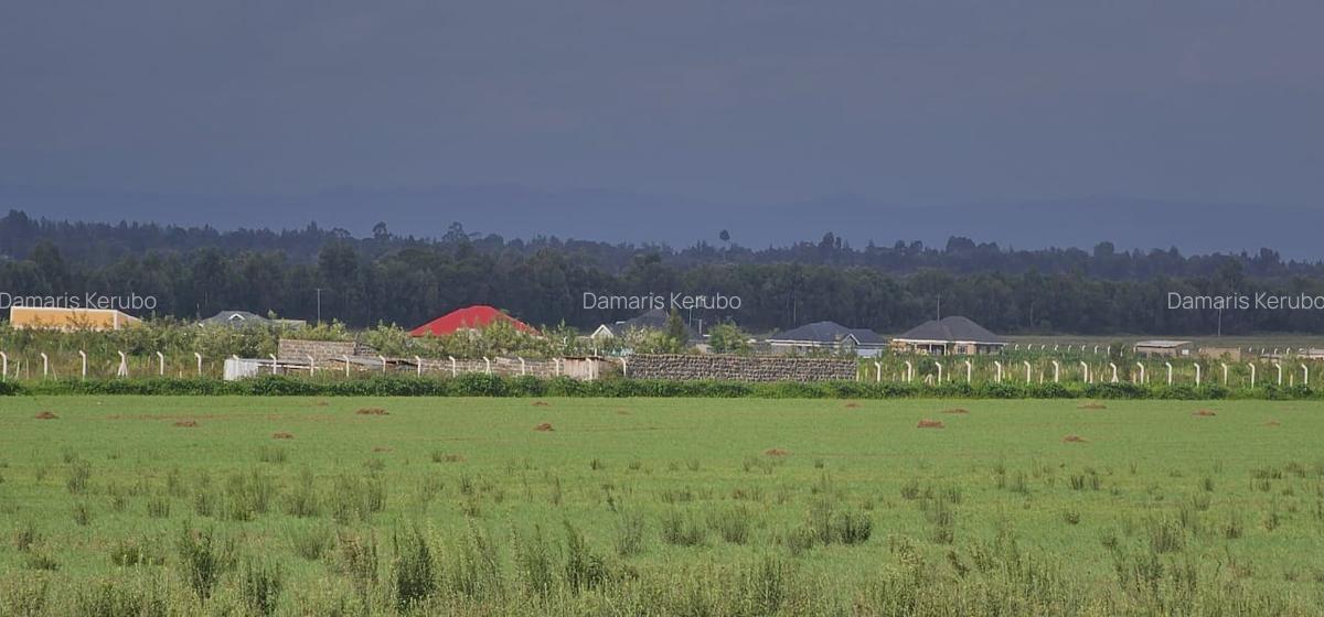 0.23 ac Land at Ngata - 2