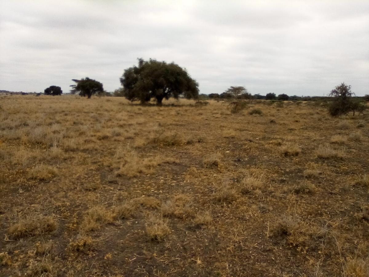 30 ac Land at Off Namanga Rd - 2