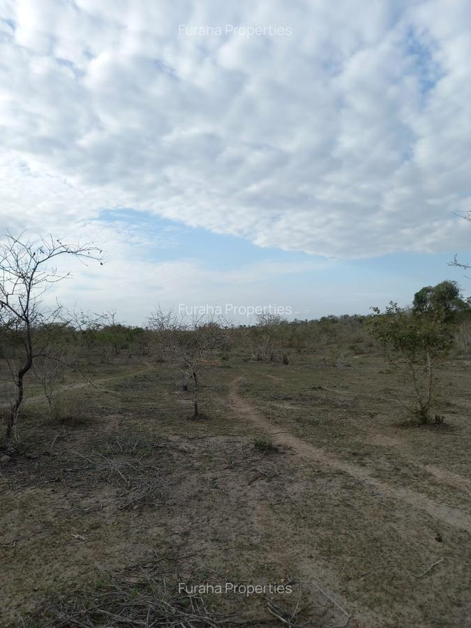 100 ac Commercial Land at Lungalunga - 1