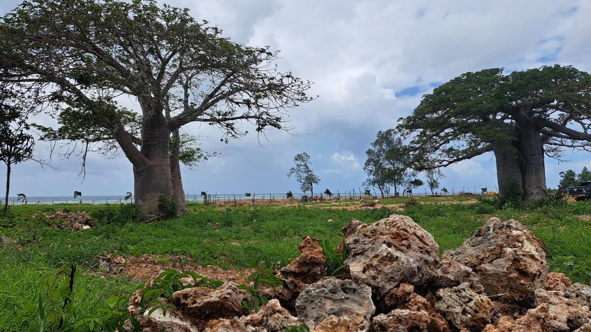 3 Bed House with En Suite at Malindi - 10