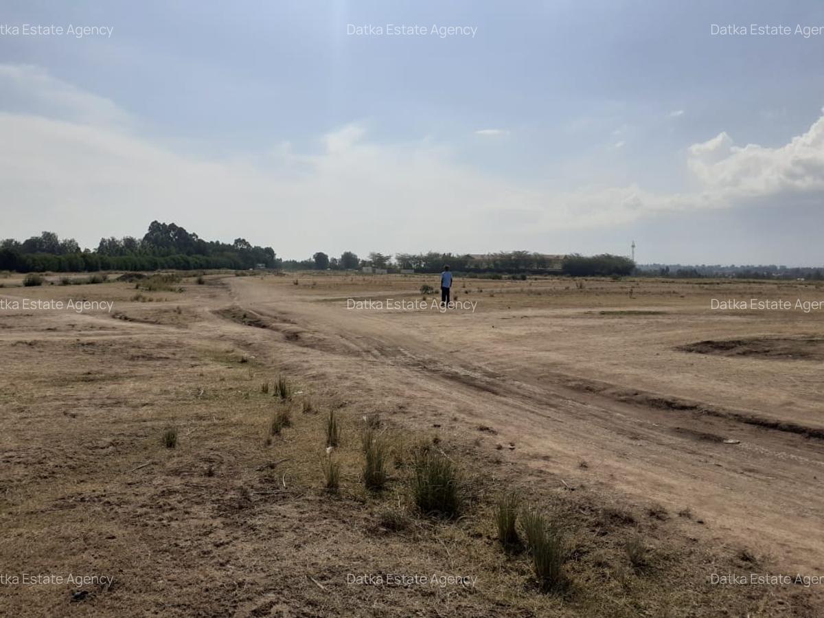 0.125 ac Land in Nanyuki - 7