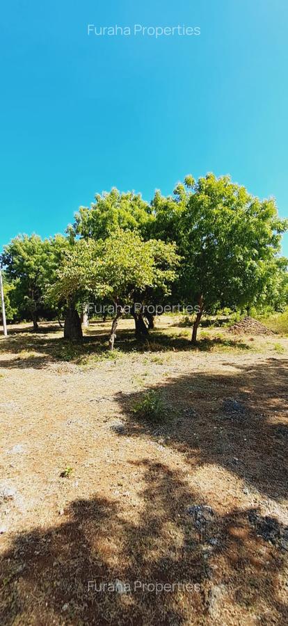 Land in Kikambala - 5