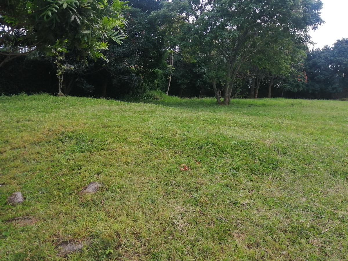 0.5 ac Residential Land in Runda - 2