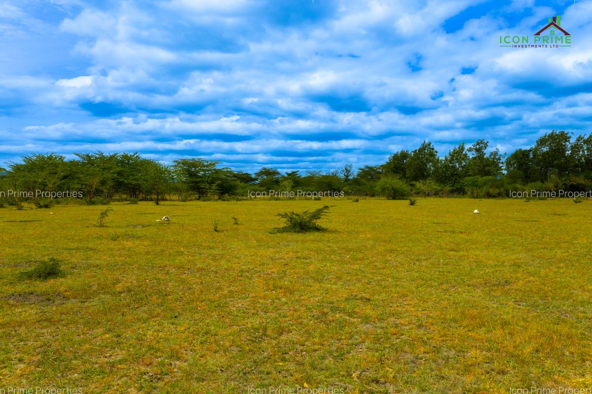 0.125 ac Land at Tala Area - 5