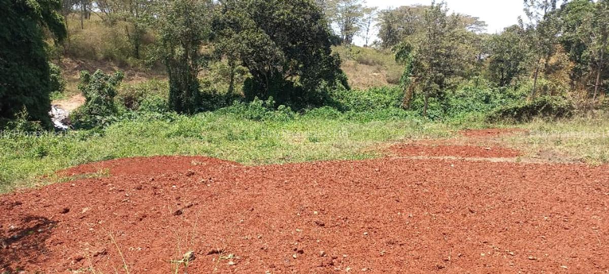 0.5 ac Residential Land at Muthithi - 6