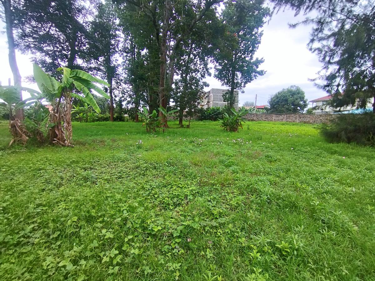 0.8 ac Land at Mumbi Road - 4