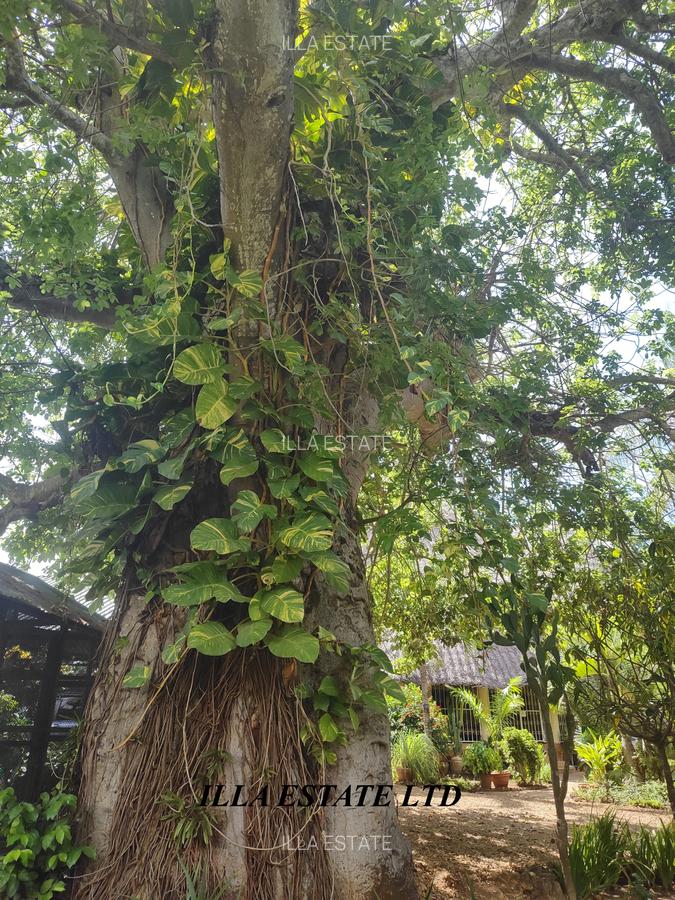 3 Bed Villa with En Suite at Diani Beach Road - 12